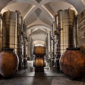 Évora wine tasting tour