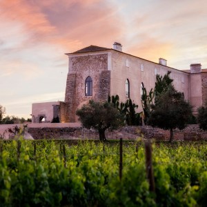 Évora wine tasting tour