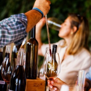 Évora wine tasting tour