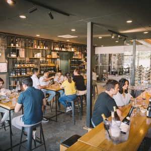 Évora wine tasting tour