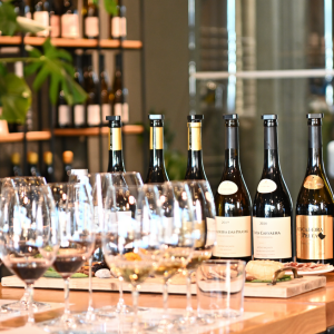 Évora wine tasting tour