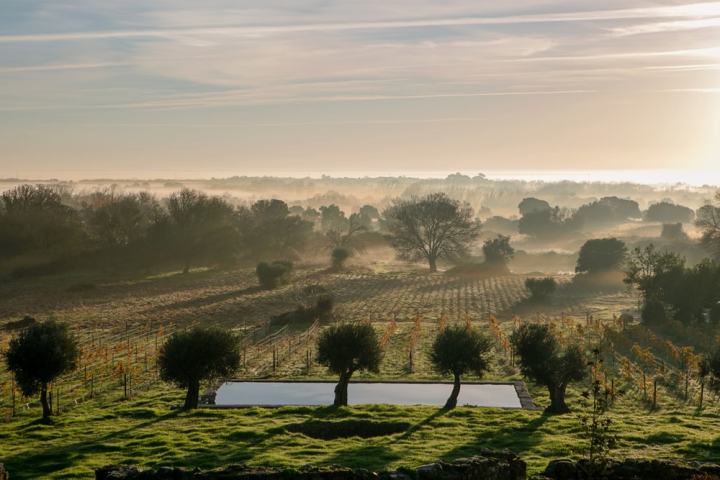 Évora wine tasting tour