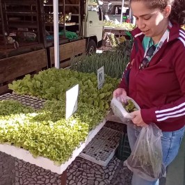 Estremoz Traditional Cooking Class & Market Tour