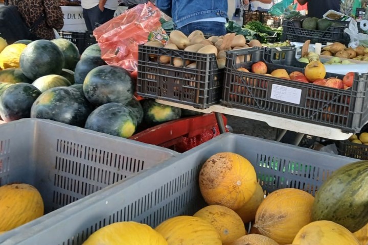Estremoz Traditional Cooking Class & Market Tour