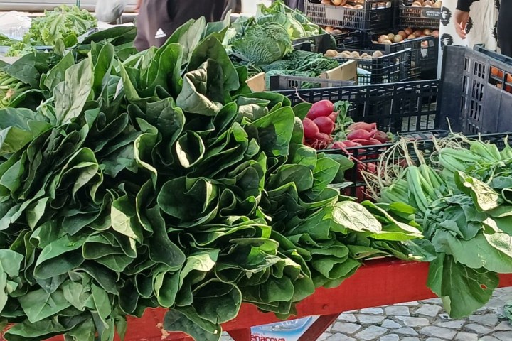 Estremoz Traditional Cooking Class & Market Tour