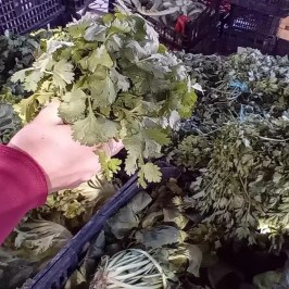 Estremoz Traditional Cooking Class & Market Tour