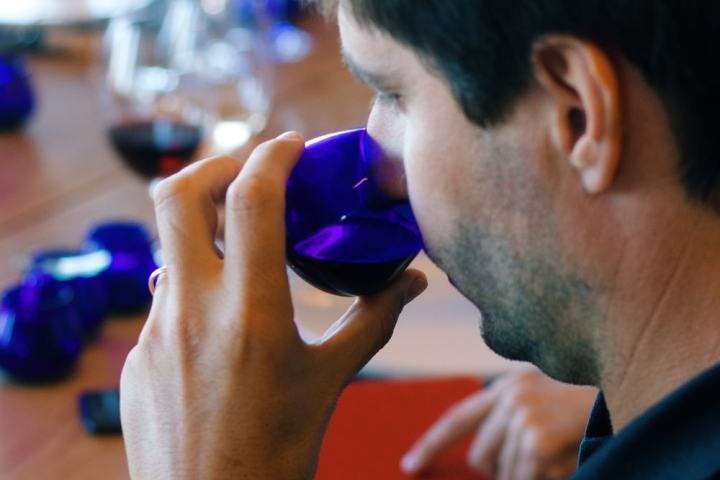 Évora Wine & Olive Oil Tour with Lunch