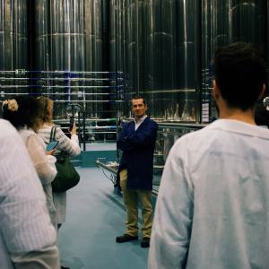 Évora Wine & Olive Oil Tour with Lunch