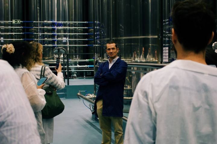 Évora Wine & Olive Oil Tour with Lunch