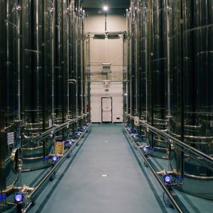 Évora Wine & Olive Oil Tour with Lunch