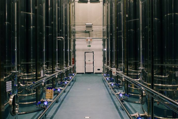 Évora Wine & Olive Oil Tour with Lunch