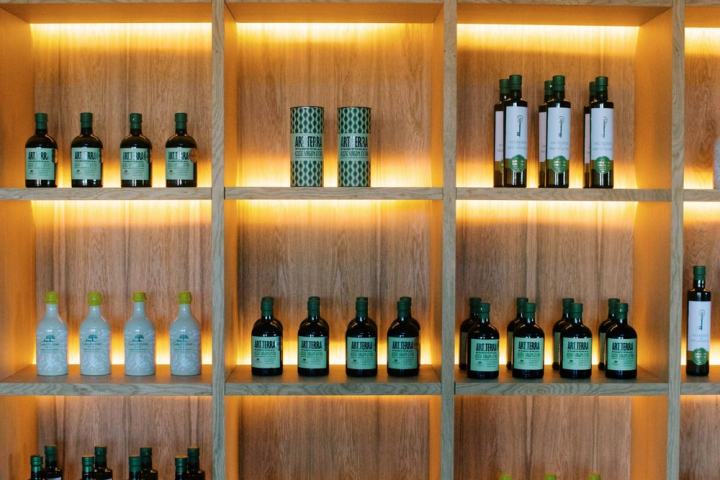 Évora Wine & Olive Oil Tour with Lunch