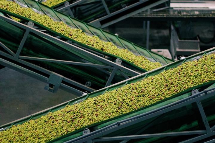 Évora Wine & Olive Oil Tour with Lunch