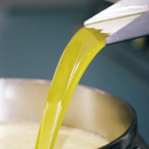 Évora Wine & Olive Oil Tour with Lunch