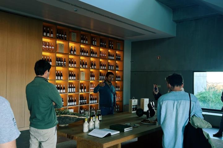 Évora Wine & Olive Oil Tour with Lunch