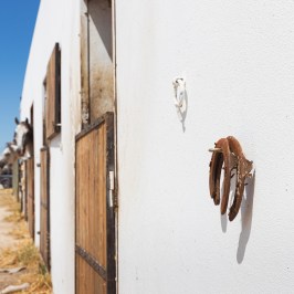 lisbon horseback riding tour