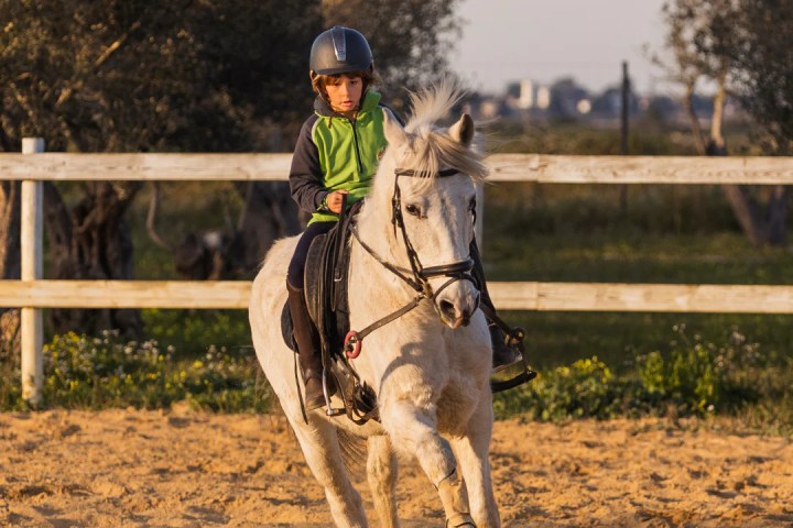 Lisbon Equestrian Baptism