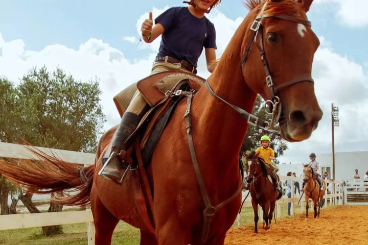 Lisbon Equestrian Baptism