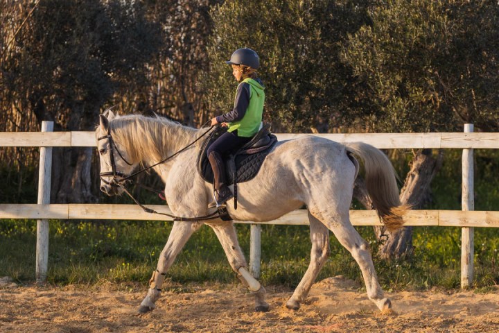 Lisbon Equestrian Baptism