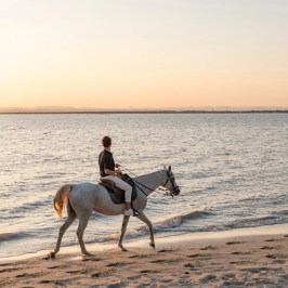 Lisbon Horseback Riding Sunset Beach