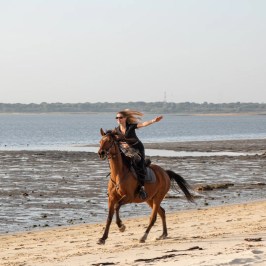 lisbon private horseback riding tour