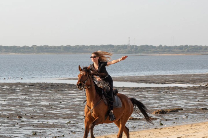 lisbon private horseback riding tour
