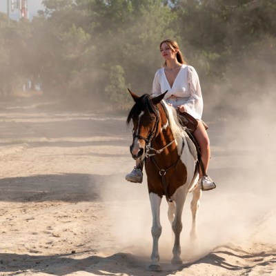 lisbon private horseback riding tour