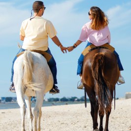 Lisbon Private horseback riding & picnic on the beach