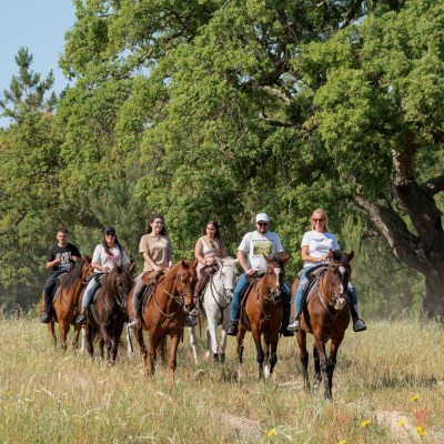 lisbon horseback riding tour
