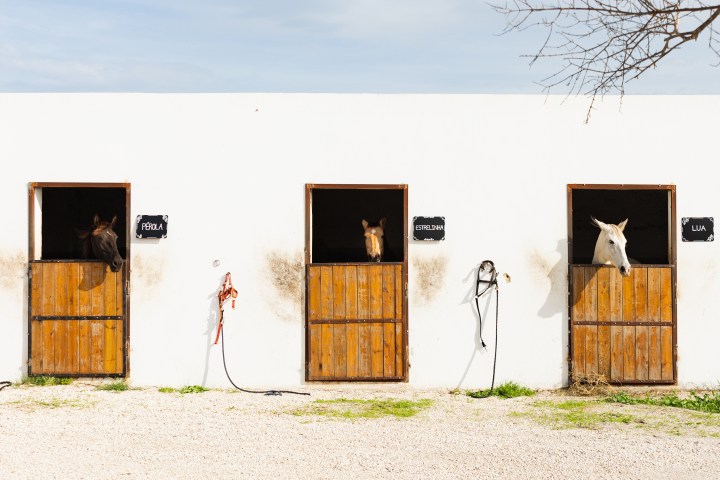 lisbon horseback riding tour