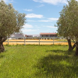 lisbon horseback riding tour
