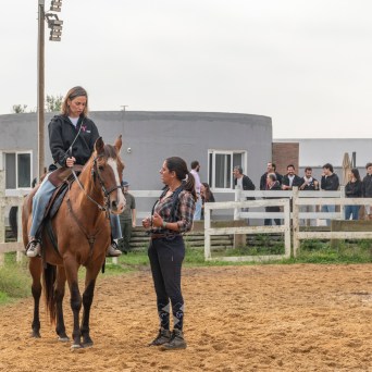 lisbon horseback riding tour