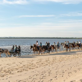 lisbon horseback riding tour