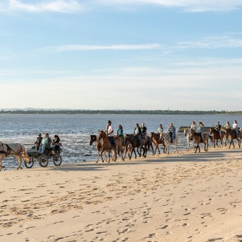 lisbon horseback riding tour