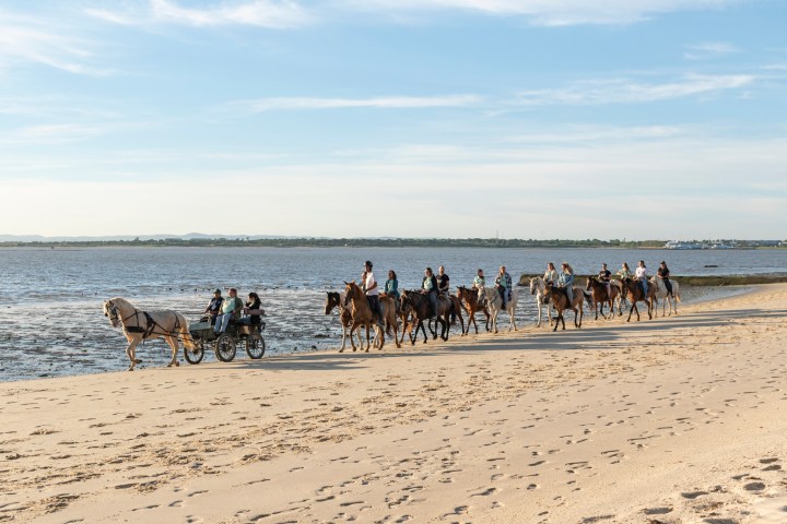 lisbon horseback riding tour