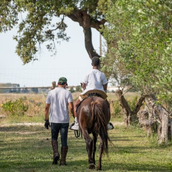 lisbon horseback riding tour