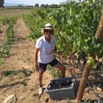 Sintra wine tasting tour