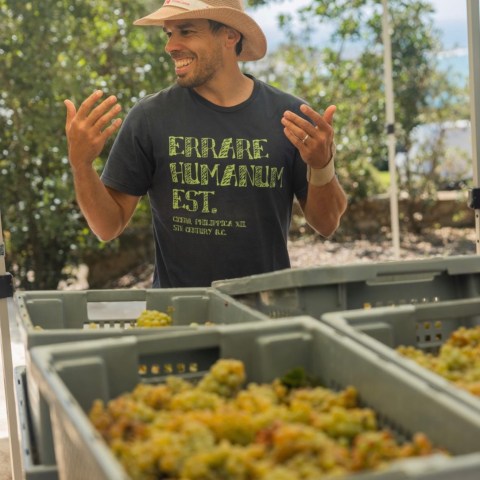 Man in hat smiling, gesturing near crates of grapes under a canopy.
