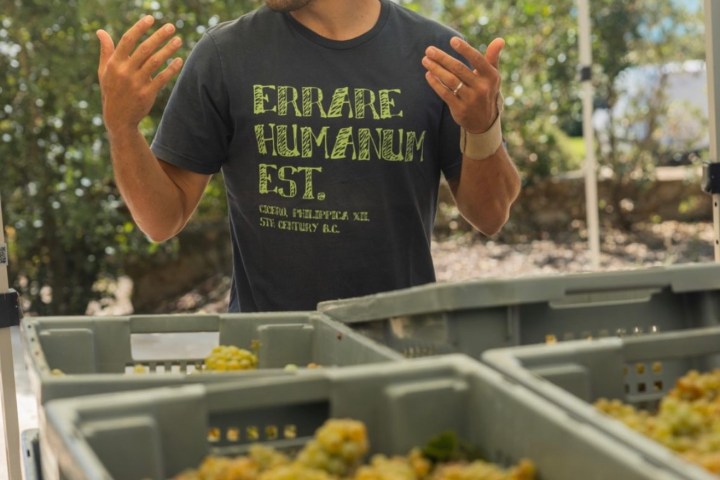Man in hat smiling, gesturing near crates of grapes under a canopy.