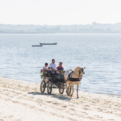 lisbon horseback riding tour