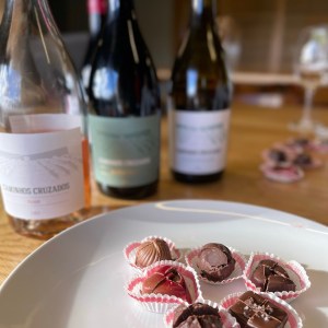 Dão Wine & Chocolate Tasting Experience in Nelas