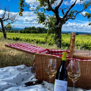 Dão Wine Picnic Experience in Nelas