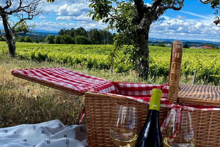 Dão Wine Picnic Experience in Nelas