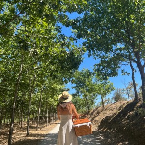 Dão Wine Picnic Experience in Nelas