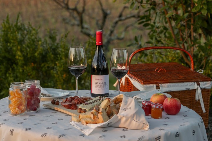 Dão Wine Picnic Experience in Nelas