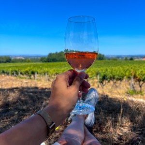 Dão Wine Picnic Experience in Nelas