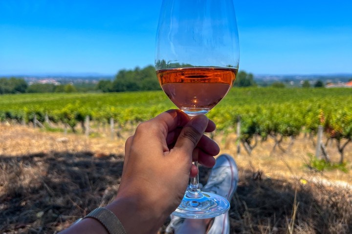 Dão Wine Picnic Experience in Nelas