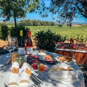 Dão Wine Picnic Experience in Nelas