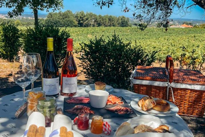 Dão Wine Picnic Experience in Nelas