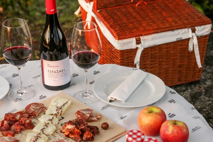 Dão Wine Picnic Experience in Nelas
